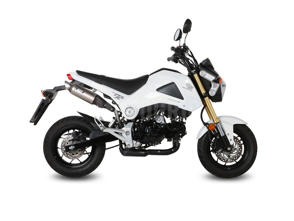 Motorrad Komplette Auspuffanlagen Exhaust für HONDA Grom 125 MSX125 2013-2018 