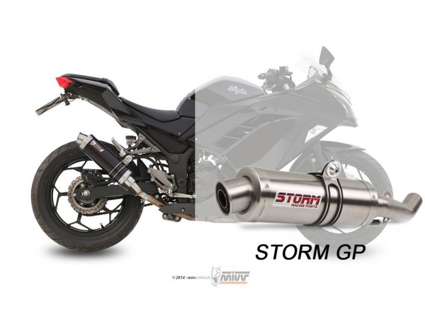 STORM GP Kawasaki Z300 Auspuff 2015 bis 2016